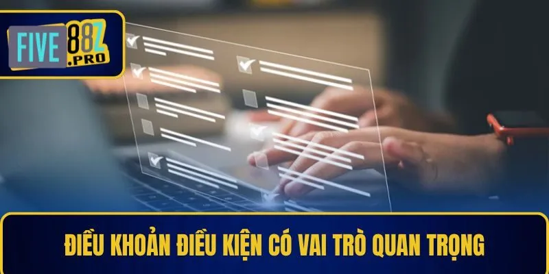 Điều khoản điều kiện có vai trò quan trọng